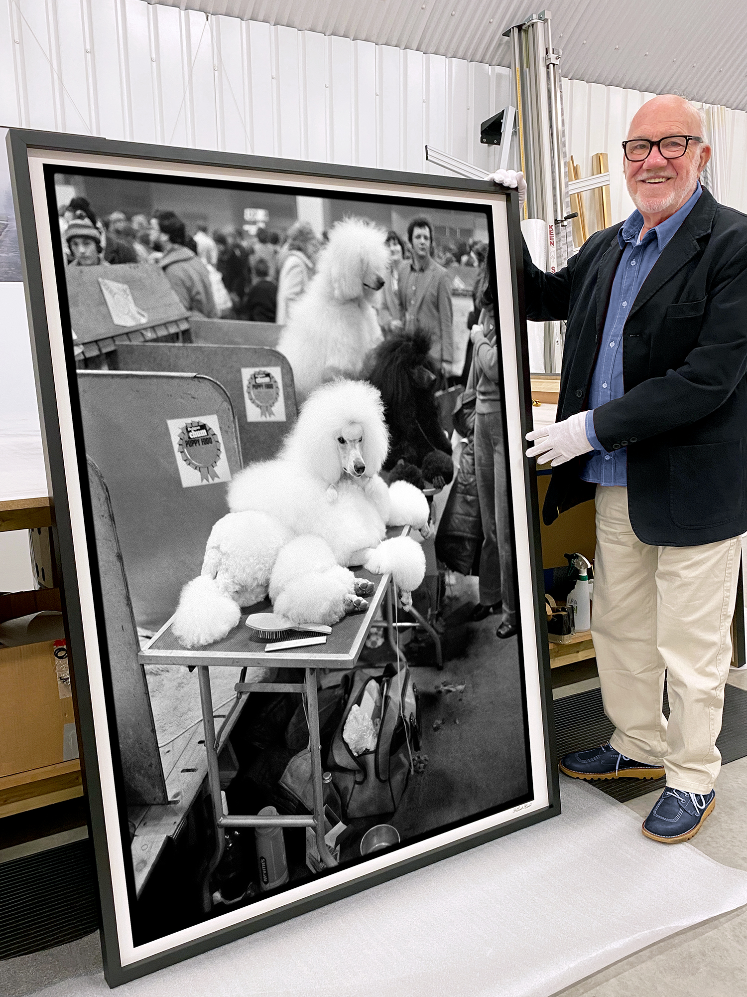 rare-black-and-white-limited-edition-photograph-pampered-pooch-crufts-by-photographer-arthur-steel
