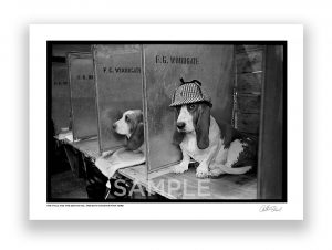 an exclusive black and white photograph of a hound dog wearing a deerstalker hat by photojournalist arthur steel