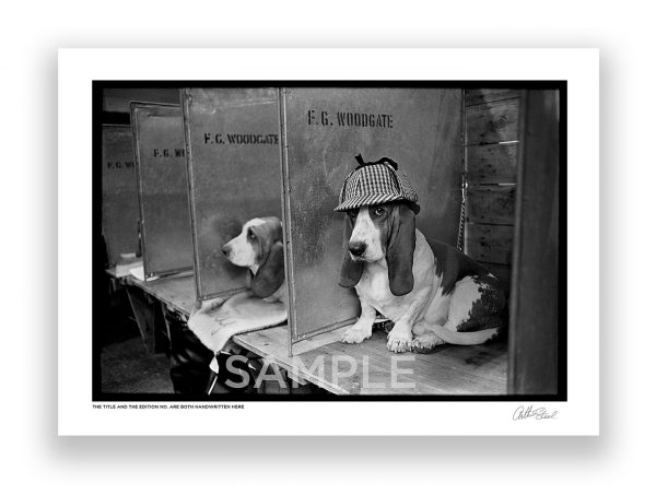 an exclusive black and white photograph of a hound dog wearing a deerstalker hat by photojournalist arthur steel