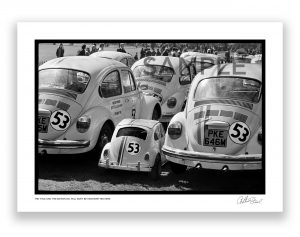 an exclusive black and white photo of a baby love bug (herbie) by british photojournalist arthur steel