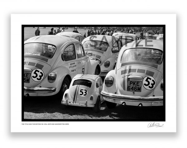 an exclusive black and white photo of a baby love bug (herbie) by british photojournalist arthur steel