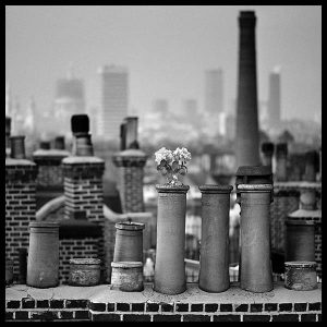 rare black and white photograph chimney pots by arthur steel